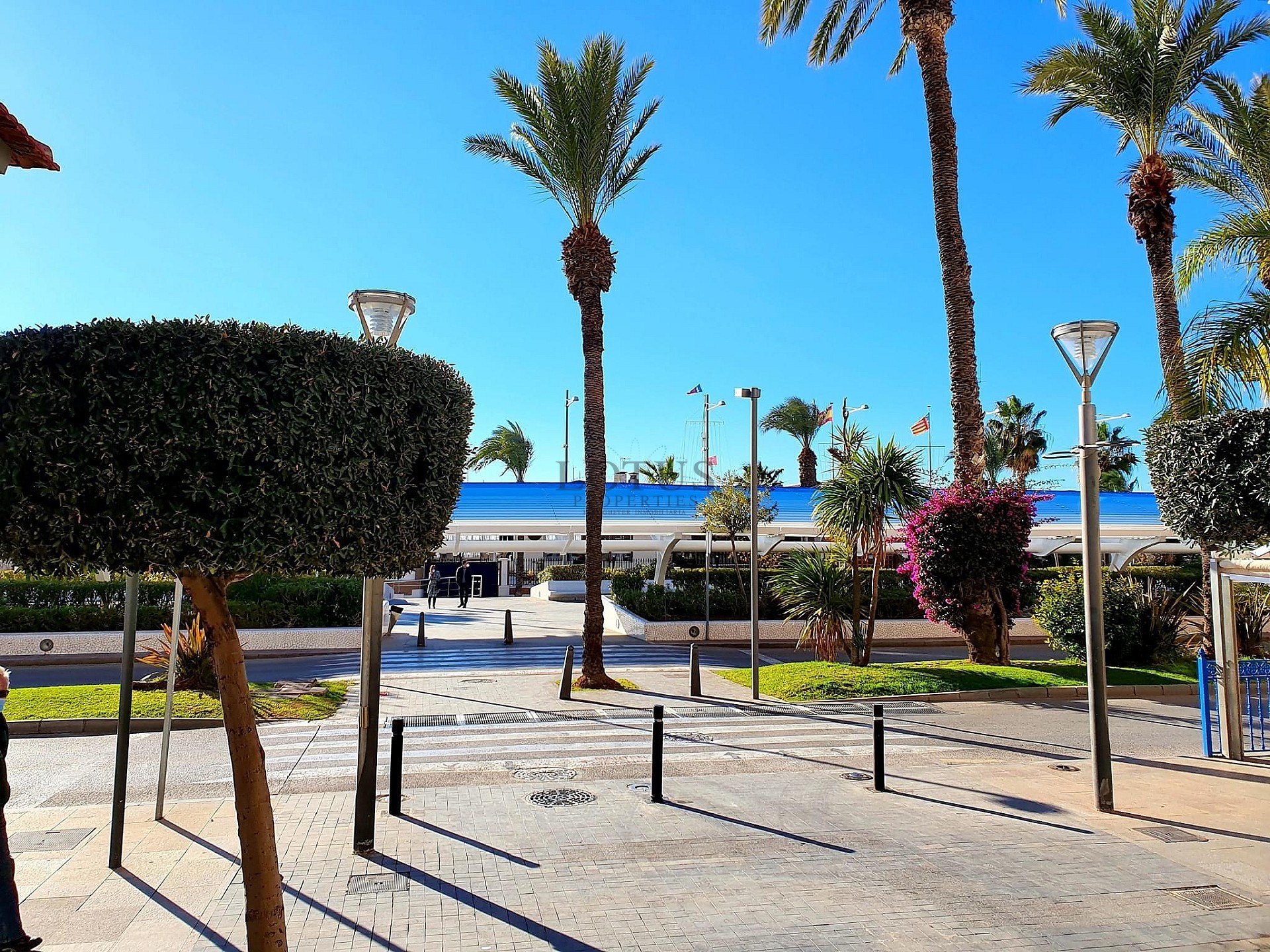 Lägenhet endast 60 meter från Playa de los Locos – Torrevieja - Lotus Properties