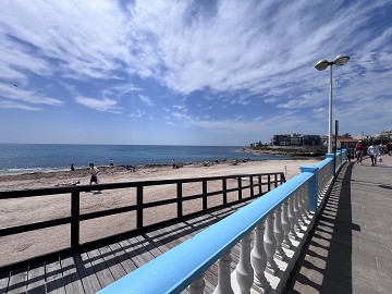 Lägenhet endast 60 meter från Playa de los Locos – Torrevieja - Lotus Properties