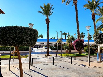 Lägenhet endast 60 meter från Playa de los Locos – Torrevieja - Lotus Properties